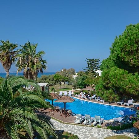Alkyoni Beach Hotel Naxos City Eksteriør billede